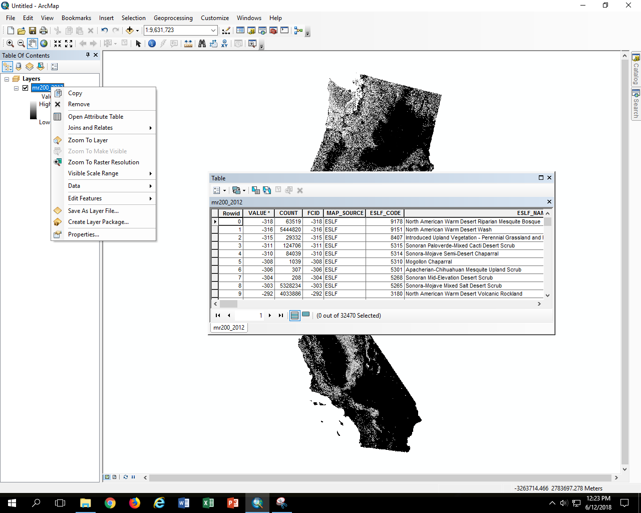 screenshot of attribute table displayed for ESRI Grid raster